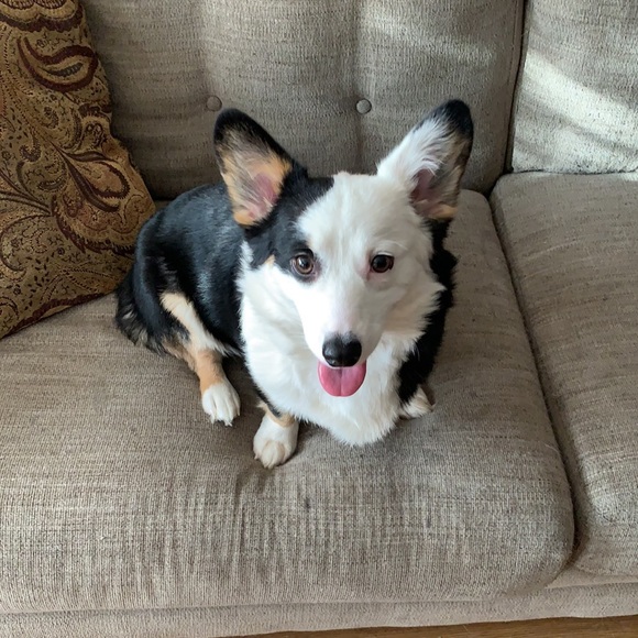 Meet your Posher, Alex - Picture 2 of 2